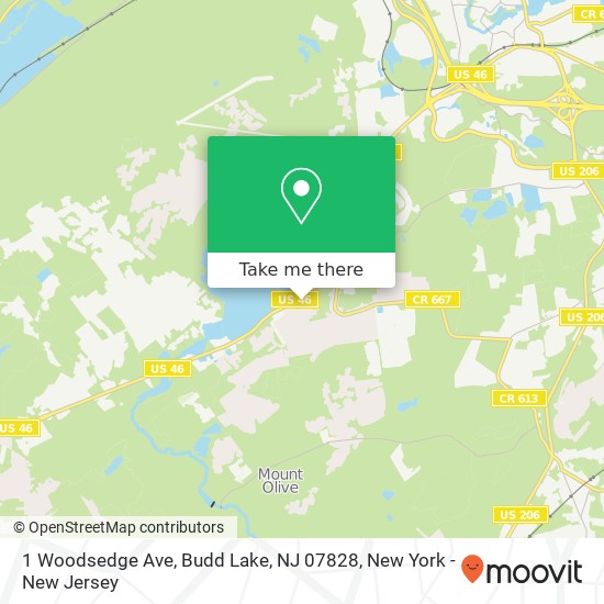 Mapa de 1 Woodsedge Ave, Budd Lake, NJ 07828