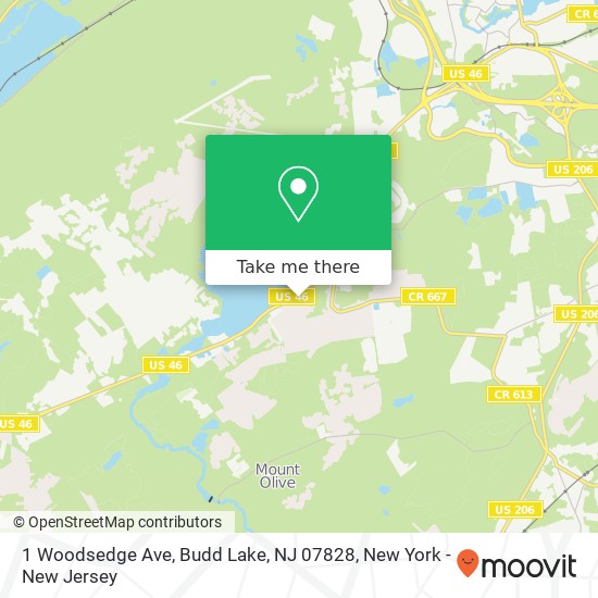 1 Woodsedge Ave, Budd Lake, NJ 07828 map