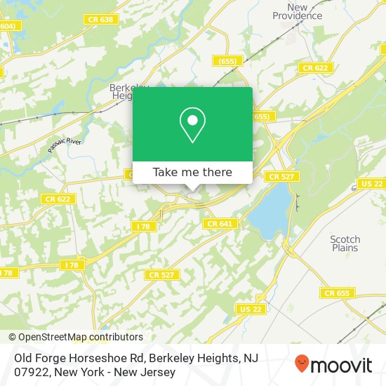 Mapa de Old Forge Horseshoe Rd, Berkeley Heights, NJ 07922