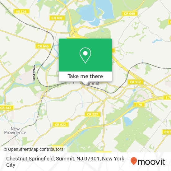 Chestnut Springfield, Summit, NJ 07901 map