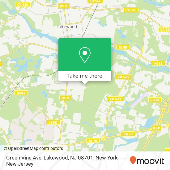 Mapa de Green Vine Ave, Lakewood, NJ 08701