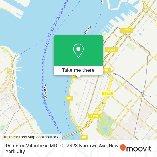 Mapa de Demetra Mitsotakis MD PC, 7423 Narrows Ave