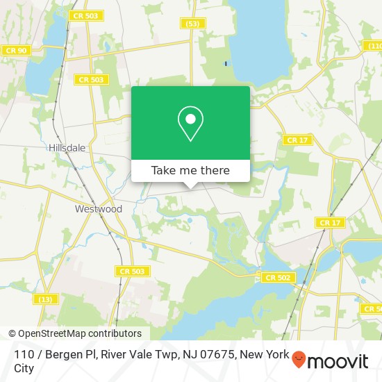 Mapa de 110 / Bergen Pl, River Vale Twp, NJ 07675