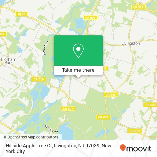 Mapa de Hillside Apple Tree Ct, Livingston, NJ 07039