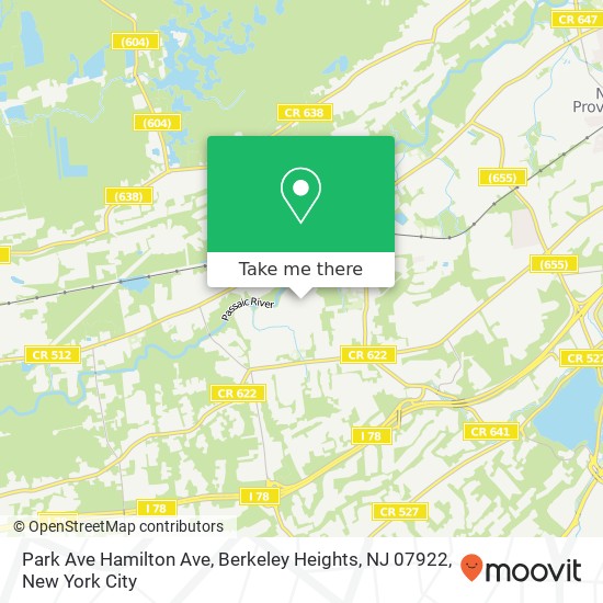 Mapa de Park Ave Hamilton Ave, Berkeley Heights, NJ 07922