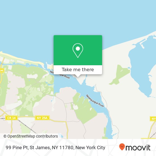 99 Pine Pt, St James, NY 11780 map