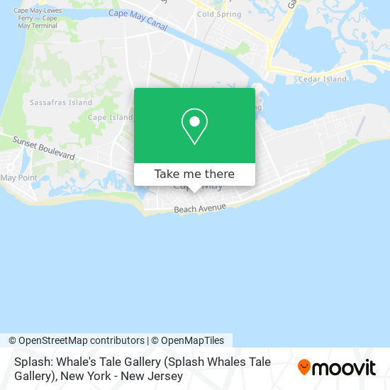 Splash: Whale's Tale Gallery (Splash Whales Tale Gallery) map