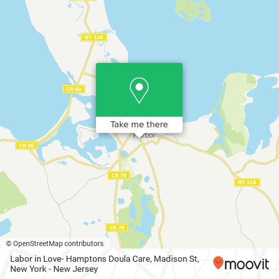 Mapa de Labor in Love- Hamptons Doula Care, Madison St