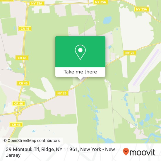 39 Montauk Trl, Ridge, NY 11961 map
