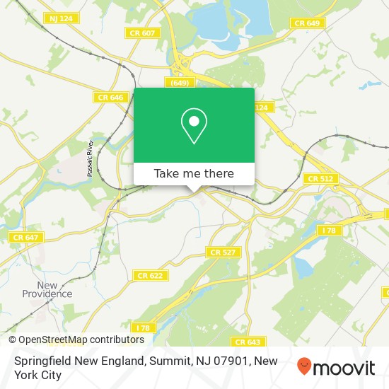 Mapa de Springfield New England, Summit, NJ 07901