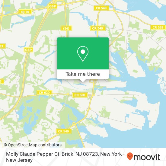 Mapa de Molly Claude Pepper Ct, Brick, NJ 08723