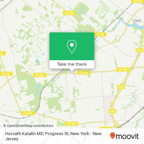 Horvath Katalin MD, Progress St map