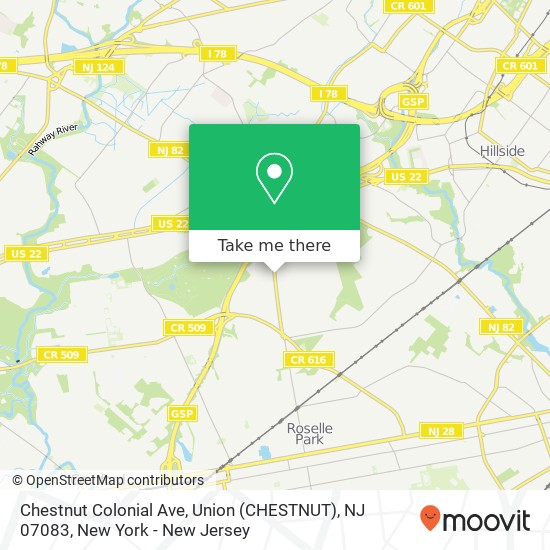 Mapa de Chestnut Colonial Ave, Union (CHESTNUT), NJ 07083