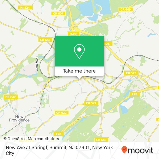 New Ave at Springf, Summit, NJ 07901 map