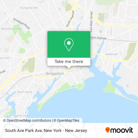 Mapa de South Ave Park Ave