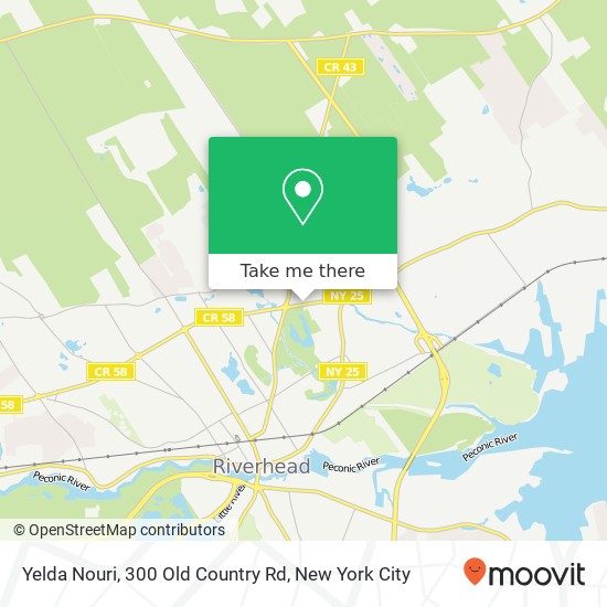 Mapa de Yelda Nouri, 300 Old Country Rd