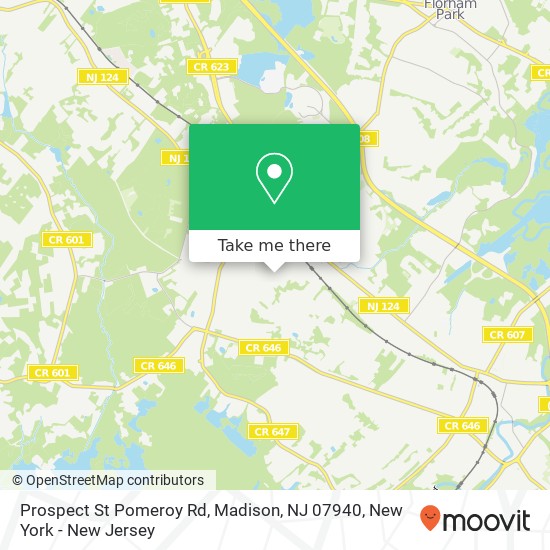 Mapa de Prospect St Pomeroy Rd, Madison, NJ 07940