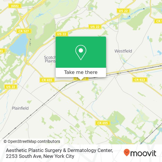 Mapa de Aesthetic Plastic Surgery & Dermatology Center, 2253 South Ave