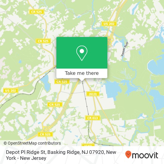 Mapa de Depot Pl Ridge St, Basking Ridge, NJ 07920