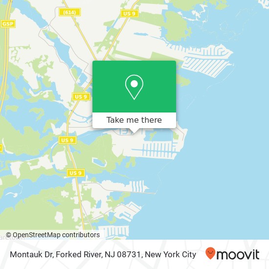 Montauk Dr, Forked River, NJ 08731 map