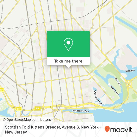 Scottish Fold Kittens Breeder, Avenue S map