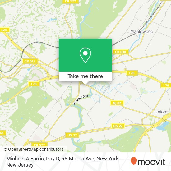 Mapa de Michael A Farris, Psy D, 55 Morris Ave