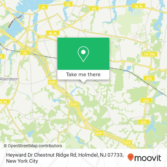 Heyward Dr Chestnut Ridge Rd, Holmdel, NJ 07733 map