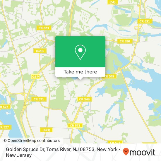 Mapa de Golden Spruce Dr, Toms River, NJ 08753