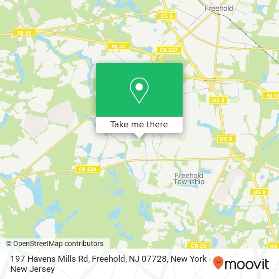 Mapa de 197 Havens Mills Rd, Freehold, NJ 07728