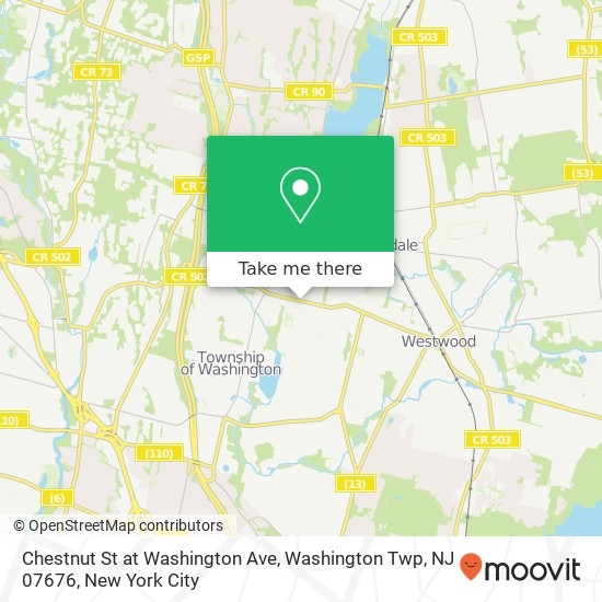 Chestnut St at Washington Ave, Washington Twp, NJ 07676 map