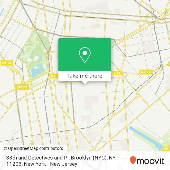 38th and Detectives and P , Brooklyn (NYC), NY 11203 map