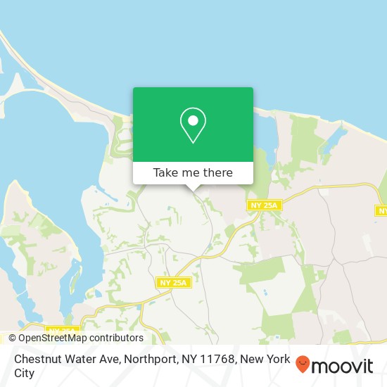 Chestnut Water Ave, Northport, NY 11768 map
