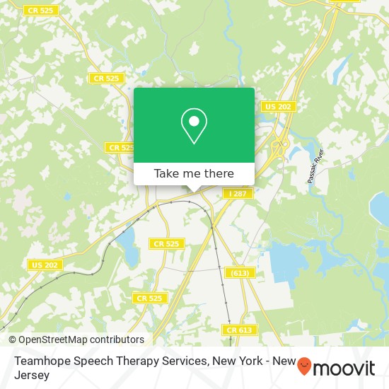 Teamhope Speech Therapy Services map