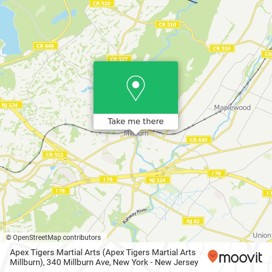 Apex Tigers Martial Arts (Apex Tigers Martial Arts Millburn), 340 Millburn Ave map