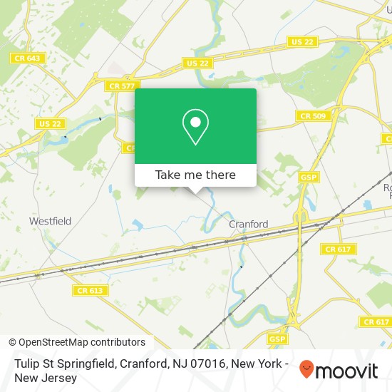 Mapa de Tulip St Springfield, Cranford, NJ 07016