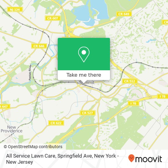 All Service Lawn Care, Springfield Ave map