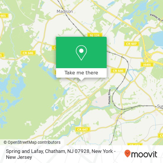 Spring and Lafay, Chatham, NJ 07928 map