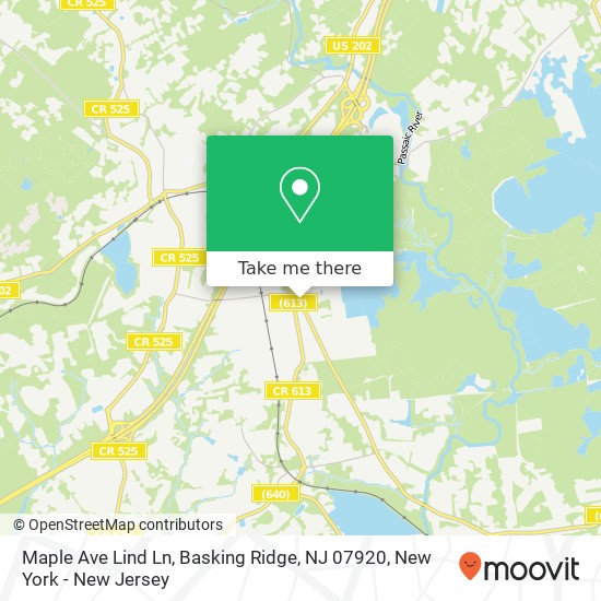 Maple Ave Lind Ln, Basking Ridge, NJ 07920 map