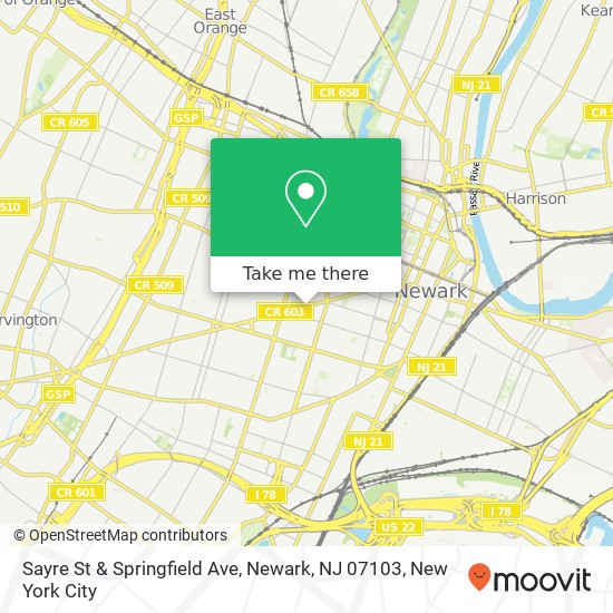 Mapa de Sayre St & Springfield Ave, Newark, NJ 07103