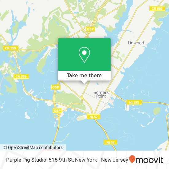 Purple Pig Studio, 515 9th St map