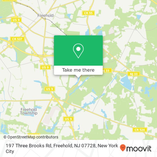 197 Three Brooks Rd, Freehold, NJ 07728 map