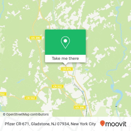 Pfizer CR-671, Gladstone, NJ 07934 map