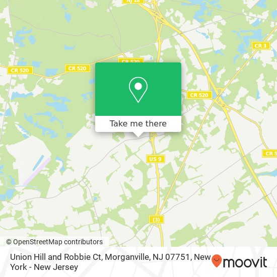 Union Hill and Robbie Ct, Morganville, NJ 07751 map