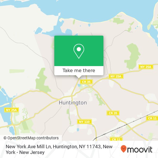 New York Ave Mill Ln, Huntington, NY 11743 map