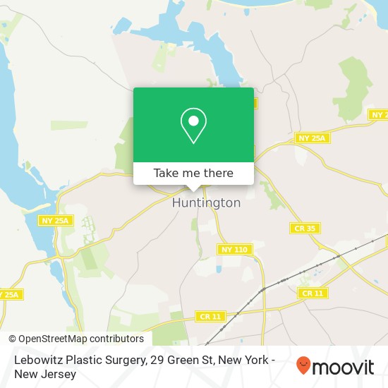 Mapa de Lebowitz Plastic Surgery, 29 Green St