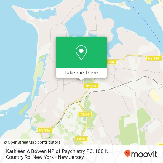 Mapa de Kathleen A Bowen NP of Psychiatry PC, 100 N Country Rd