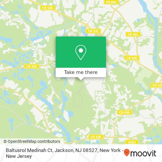 Baltusrol Medinah Ct, Jackson, NJ 08527 map