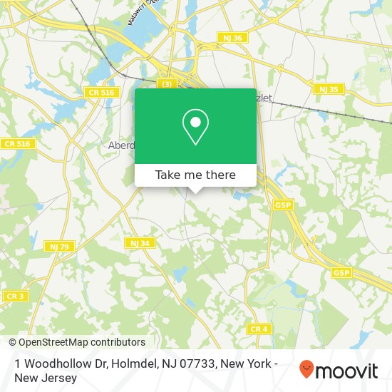 Mapa de 1 Woodhollow Dr, Holmdel, NJ 07733