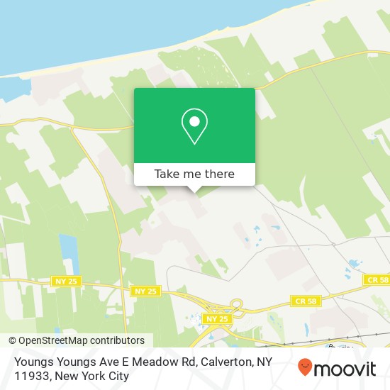 Youngs Youngs Ave E Meadow Rd, Calverton, NY 11933 map