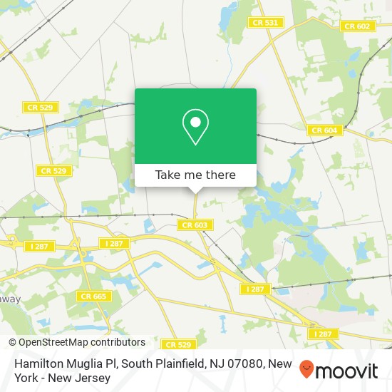 Mapa de Hamilton Muglia Pl, South Plainfield, NJ 07080